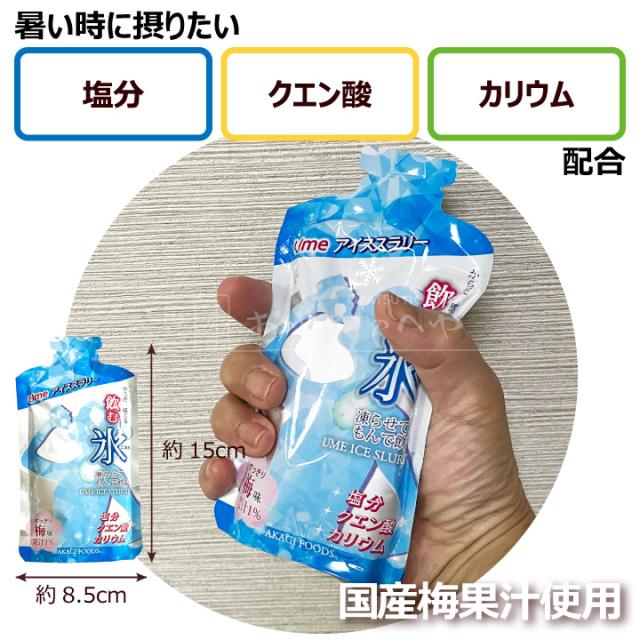飲む氷 Ume アイススラリー 1ケース 80個入り 国産 梅