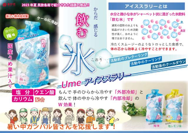 飲む氷 Ume アイススラリー 1ケース 80個入り 国産 梅