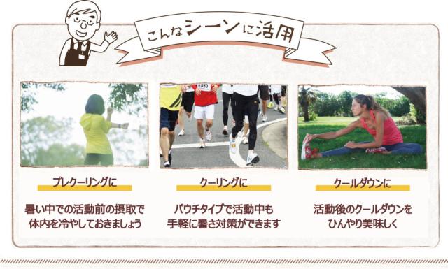 飲む氷 Ume アイススラリー 1ケース 80個入り 国産 梅