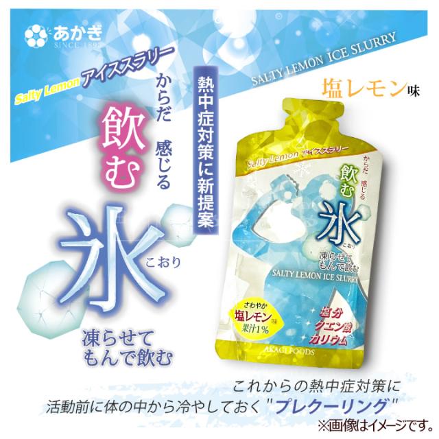飲む氷 Salty Lemon アイススラリー 1ケース 80個入り 塩レモン