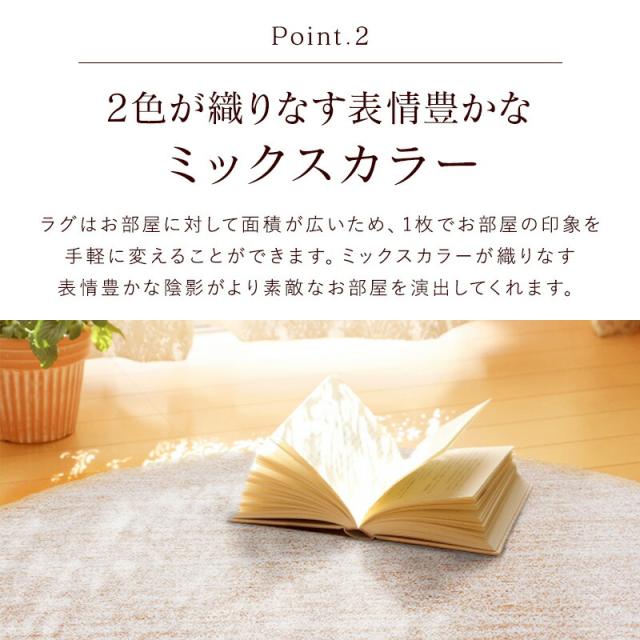 シャギーラグ_5