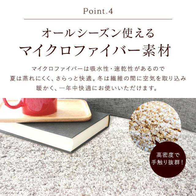 シャギーラグ_7