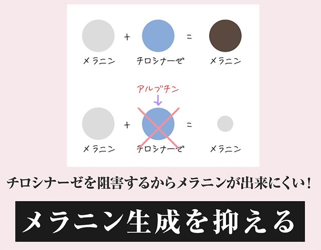 デリケートゾーンの黒ずみ対策クリーム Be89【医薬部外品】美白クリーム 30g 乳首 マタニティー 乳頭 バスト 黒づみ くろずみ 毛穴 ケア  の通販はau PAY マーケット - dot-store