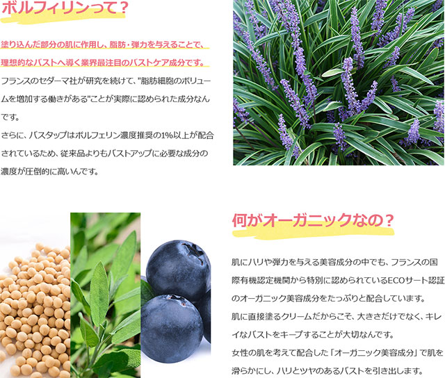 Bus Tup バスタップ バストクリーム 胸 谷間 おしり 張り 美乳 美尻 オーガニック成分配合 ボルフィリン ボディケア マッサージ 100g の通販はau Pay マーケット Dot Store