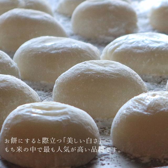 令和6年産 ヒメノモチ もち米 20kg (5kg×4袋) 国内産 餅米