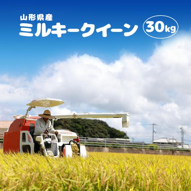 農家直送 令和6年千葉県産ミルキークイーン玄米30kg 送料着払い