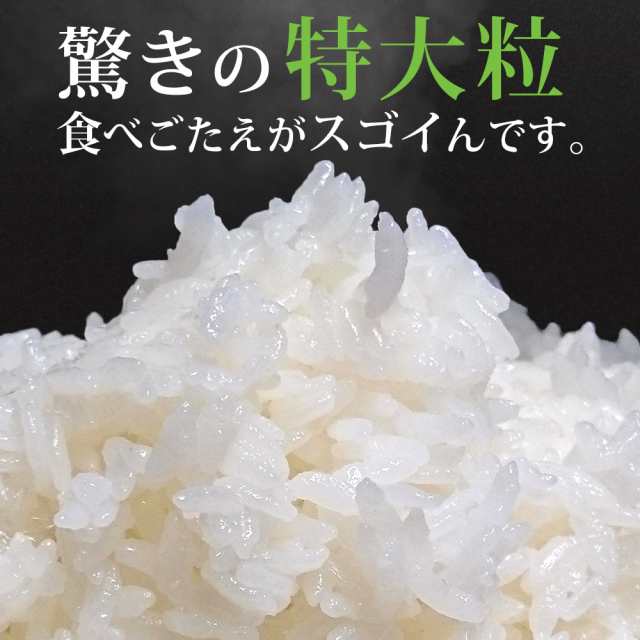 新米 令和4年 米 お米 雪若丸 10kg (5kgｘ2袋) 送料無料 (無洗米 白米 玄米) 山形県産 10キロ 産地直送 ギフト ※一部地域は別途 送料追加の通販はau PAY マーケット - 阿部ベイコク au PAY マーケット店