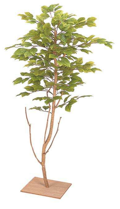人工植物 グリーンデコ和風 ミニブナ 板付 90cm Gd 19 タカショー 送料無料 人工樹 観葉植物 室内用 インテリアの通販はau Pay マーケット エクシーズ Au Wowma 店