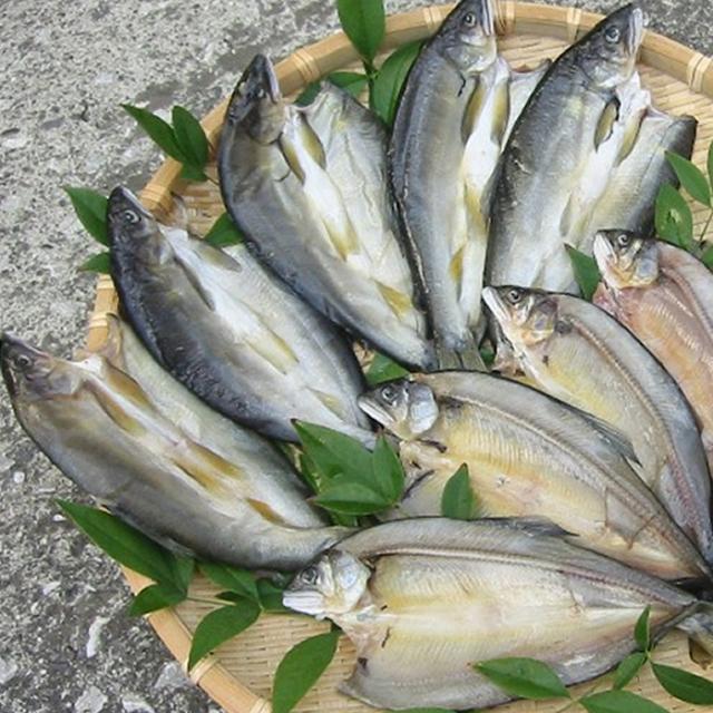 鮎 一夜干し 12尾 高知 四万十 養殖 若鮎 あゆ アユ 母の日 父の日 お中元 御中元 お歳暮 御歳暮 ギフトの通販はau Pay マーケット Made In Tosa物産 鮎 一夜干し 12尾 高知 四万十 養殖 若鮎 あゆ アユ 母の日 父の日 お中元 御中元 お歳暮 御歳暮 ギフトの通販はau Pay マーケット Made In Tosa物産