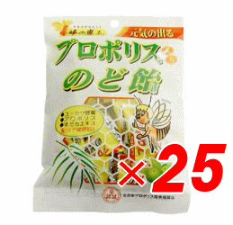 蜂の恵み　プロポリスのど飴　100ｇ×25袋セット　送料無料