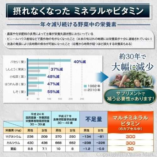 ２個セット】ニューサイエンス マルチミネラルビタミン 180粒 マルチビタミン ミネラル 天然 オーガニックの通販はau PAY マーケット -  Chiba Mart（インボイス登録店） | au PAY マーケット－通販サイト