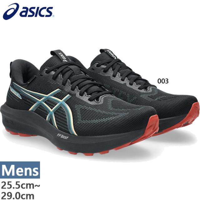 普通幅 アシックス メンズ GT-1000 14 ゴアテックス GTX ランニング