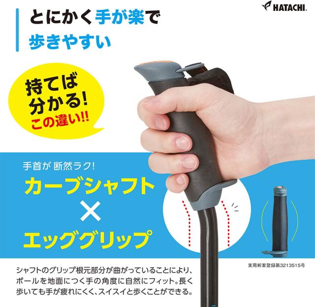 2本組 ハタチ メンズ レディース DFPプログレッシブズーム2 ディフェンシブポール ノルディックウォーキング ブルー レッド 青 赤 ピンク グリーン 緑 送料無料 HATACHI WH1121