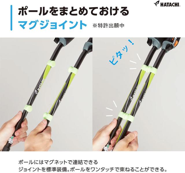 2本組 ハタチ メンズ レディース DFPプログレッシブズーム2 ディフェンシブポール ノルディックウォーキング ブルー レッド 青 赤 ピンク グリーン 緑 送料無料 HATACHI WH1121