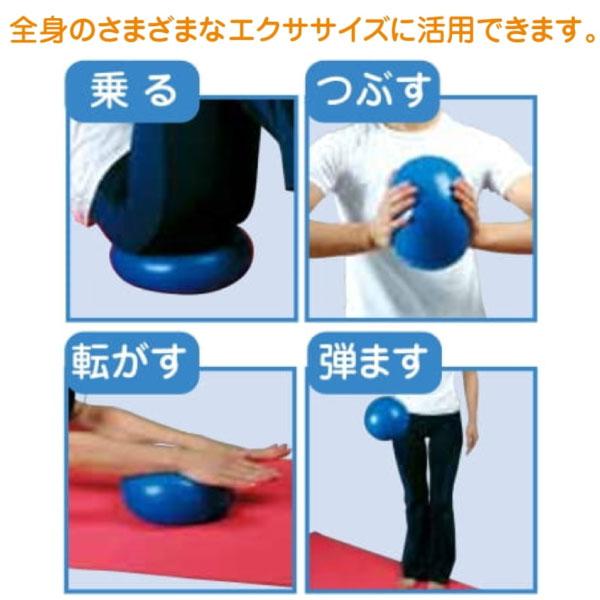 直径20cm ハタ メンズ レディース ジュニア ソフトバランス