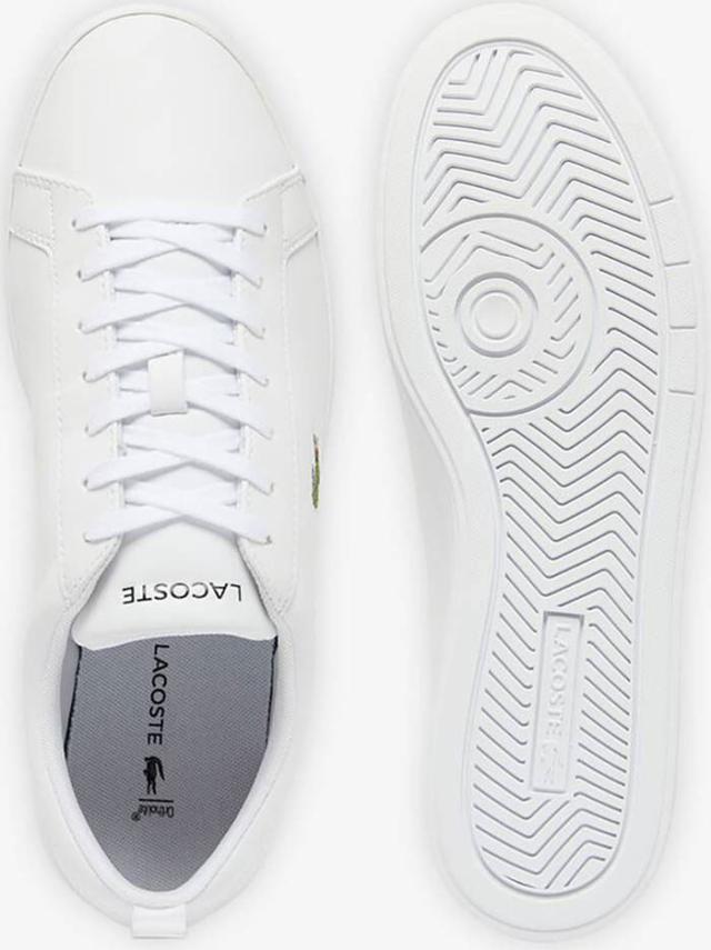ラコステ メンズ コートベース COURT BASE 224 1 SMA スニーカー シューズ 紐靴 ローカット カジュアル ホワイト 白 送料無料 LACOSTE 48SMA0112_8