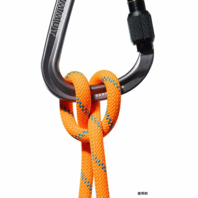 直径8.7mm 長さ30m マムート メンズ レディース アルパイン センダー ドライ ロープ 8.7 Alpine Sender Dry Rope 登山用品 クライミング 