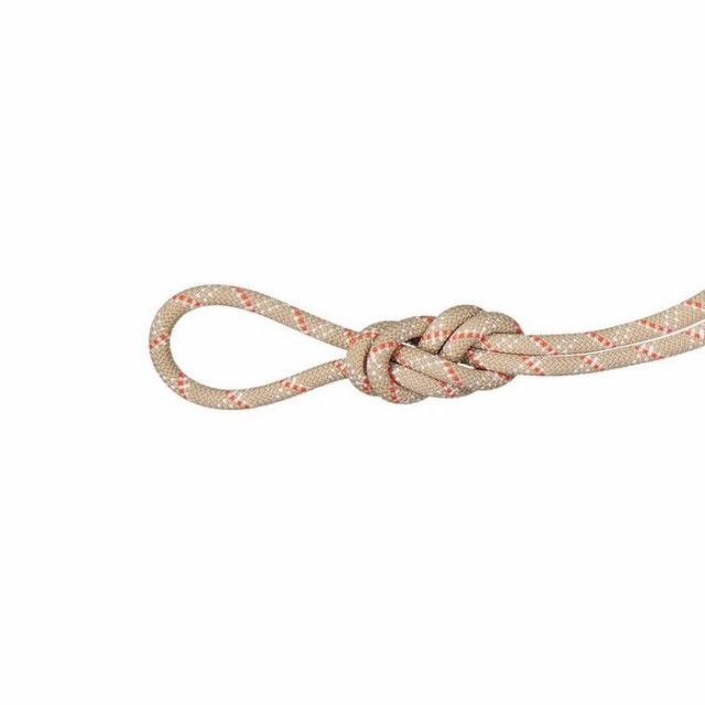 長さ40m マムート メンズ レディース 9.5 ジム クラシック ロープGym Classic Rope 登山用品 クライミング ホワイト 白  送料無料 Mammut 2010-04260の通販はau PAY マーケット - バイタライザー | au PAY マーケット－通販サイト