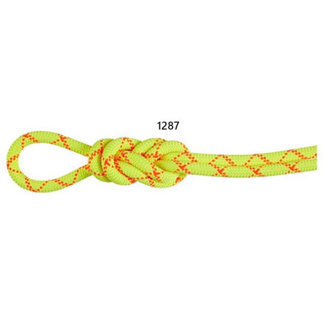 長さ50m 直径9.5mm マムート メンズ レディース 9.5 アルパイン コア プロテクト ドライ ロープ 60m 登山 クライミング ロープ イエロー 黄色 送料無料 Mammut 2010-05430