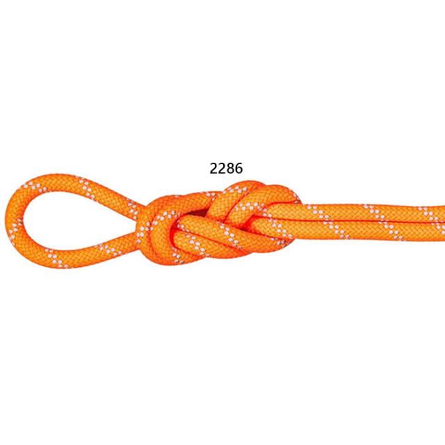 長さ60m 直径9.5mm マムート メンズ レディース 9.5 アルパイン ドライ ロープ 60m 9.5 Alpine Dry Rope 60m 登山 クライミング ロープ オレンジ 送料無料 Mammut 2010-05530
