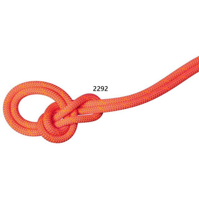 マムート メンズ レディース 9.8 クラッグ ドライ ロープ 60m 9.8 Crag Dry Rope 60m 登山 クライミング ロープ オレンジ 送料無料 Mammut 2010-06520