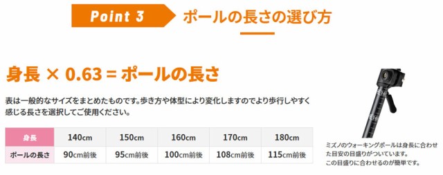 2本1組 ミズノ メンズ レディース 折りたたみ式カーボンウォーキング用