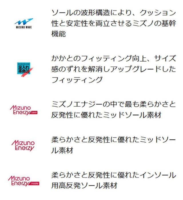 2E幅 ミズノ メンズ レディース オールコート ウエーブエンフォース ツアー TOUR AC テニスシューズ ローカット 紐靴 ブルー 青 送料無料 Mizuno 61GA2300_5