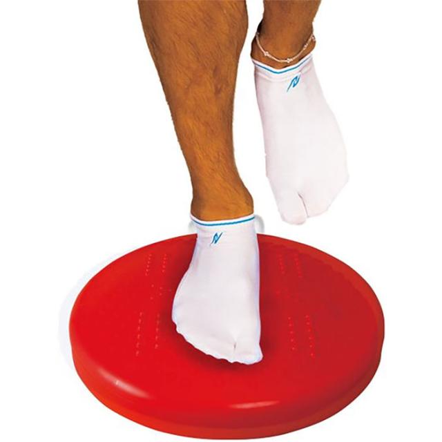 ニシスポーツ メンズ レディース バランスディスクII トレーニング ヨガ ダイエット用品 送料無料 NISHI NT5875 9,280円