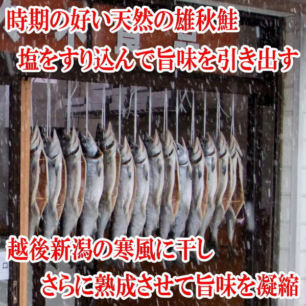 塩引き鮭３切れ さけ安兵衛漬２切れ さけ味噌漬２切れ 鮭三種詰合せ 