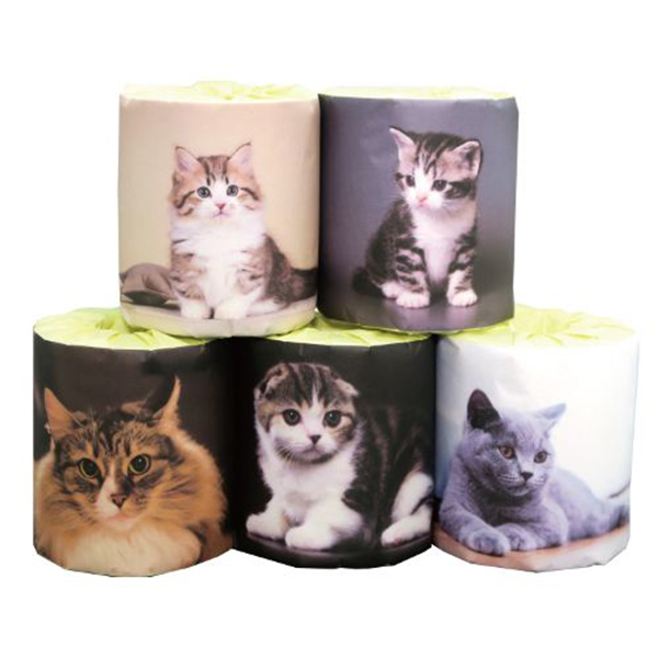 販促用トイレットペーパー 仔猫 5種類アソート 個包装100個 ダブル30m