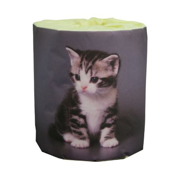 販促用トイレットペーパー 仔猫 アメショー 個包装100個 ダブル30m 7,446円