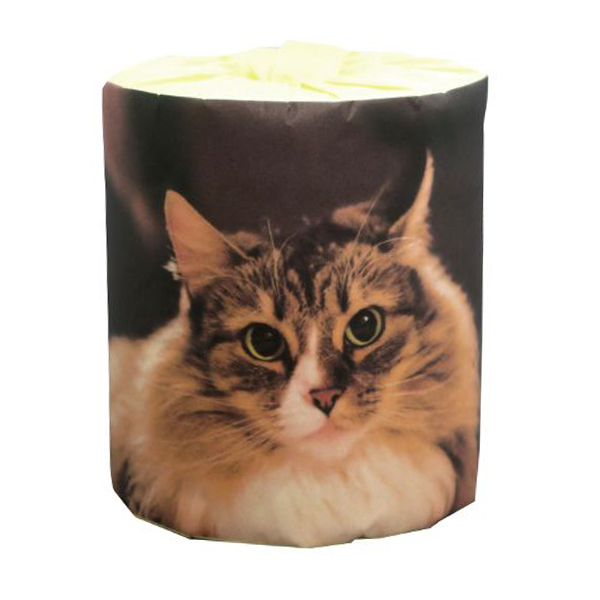 販促用トイレットペーパー 仔猫 ノルウェージャン 個包装100個 ダブル30m