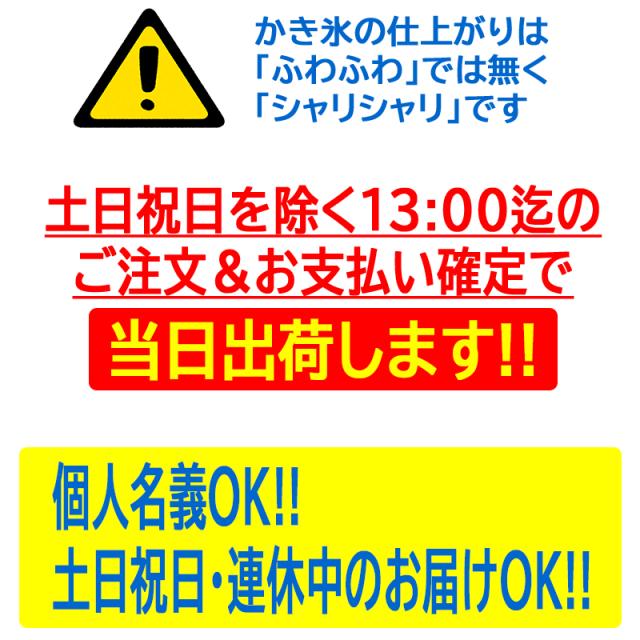 業務用電動かき氷機 キューブアイススライサー ラグジュアリーブラック CR-SIS-BK 3年保証 予備替刃1枚付属_11