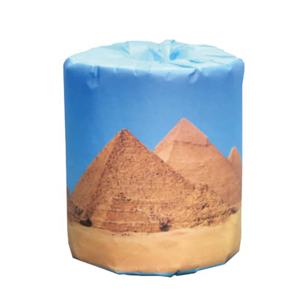 販促用トイレットペーパー 世界遺産 ピラミッド 個包装100個 ダブル30m