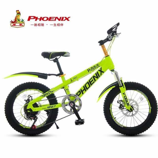 children's bicycle 20 inch
