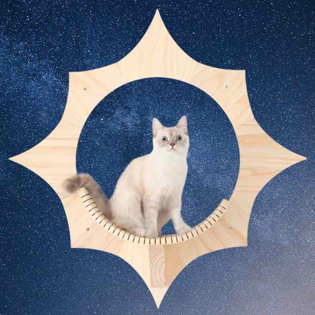 MYZOO「SOLAR」キャットステップ 天然木 太陽型 木目柄 壁面アート 無垢材 パイン材 ねこステップ 猫家具 壁取り付け 滑りにくい 全猫種