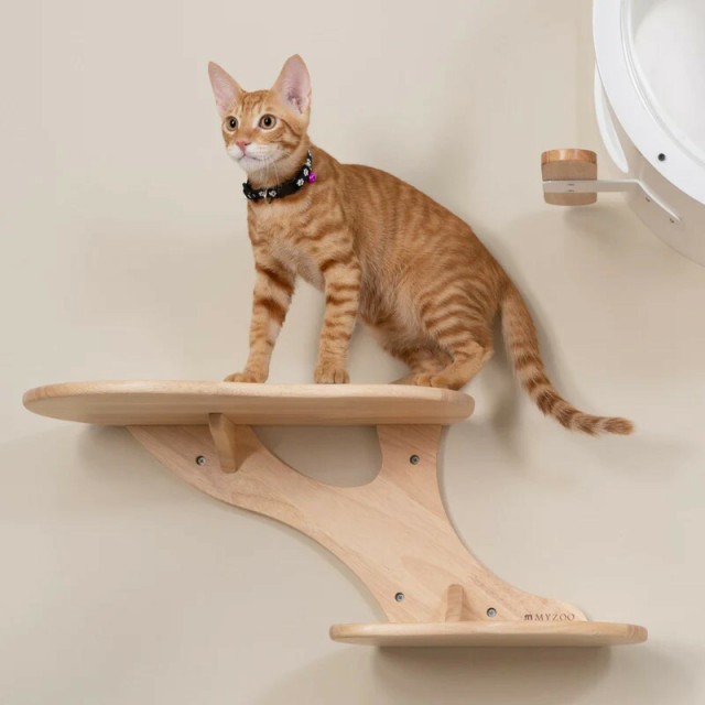 MYZOO マイズー CORAL キャットステップ おしゃれ コーラル クリア 壁面アート キャットウォーク 壁取り付け おしゃれ コンパクト ペット用品 猫用品 ネコグッズ 全猫種 全年齢対応 インスタ映えの通販は