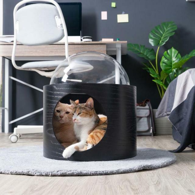 MYZOO マイズー 宇宙船GAMMA (オーク) 壁付けタイプ猫用ベッド