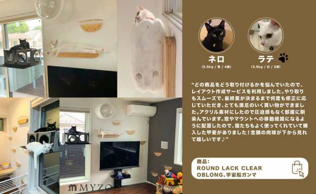 MYZOO マイズー OBLONG オブロング キャットステップ クリア 壁面 ...