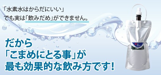 H2-BAG 500ml 水素水用真空保存容器（エイチツーバッグ） -3646-の通販はau PAY マーケット NIC家電 au PAY  マーケット－通販サイト