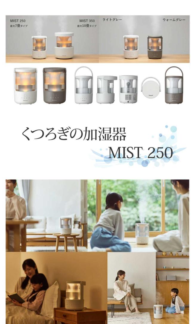 加湿器 お手入れ簡単 大容量 2L MIST 250（ライトグレー）超音波式 卓上