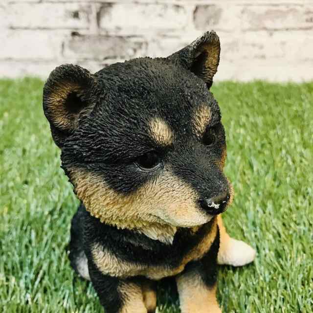 柴犬 黒 子犬のオブジェ 猫 置物 可愛い リアル アニマルオブジェ インテリア かわいいネコ 動物 子猫 仔猫 ガーデンオーナメント 玄の通販はau Pay マーケット ミドリス