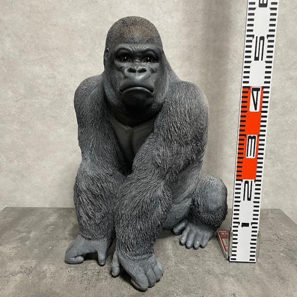 マウンテンゴリラシルバーバック マウンテンゴリラシルバーバック