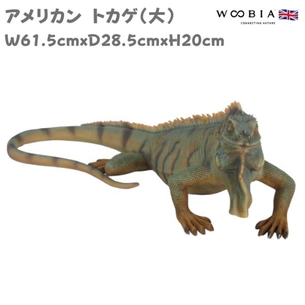 置物 アメリカントカゲ 大 かわいい 巨大オブジェ 北欧 動物 横幅61.5cm woobia ウービア 大きい おしゃれ ガーデン インテリア プレゼント 玄関 雑貨 モダン 面白い 庭 ギフト 屋外 家 リアル 玄関先 ガーデンオーナメント