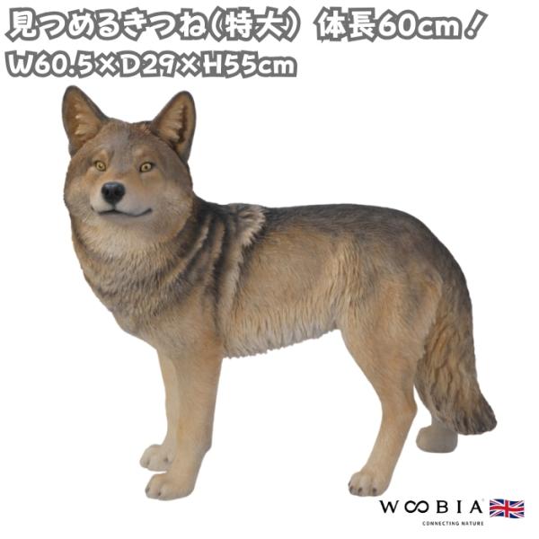 置物 見つめるキツネ 特大 狐 横幅60.5cm 巨大オブジェ 大型 woobia ウービア 大きい かわいい おしゃれ ガーデン インテリア 可愛い プレゼント 北欧 玄関 雑貨 動物 モダン 面白い 庭 ギフト 屋外 家 リアル 玄関先 ガーデンオーナメント