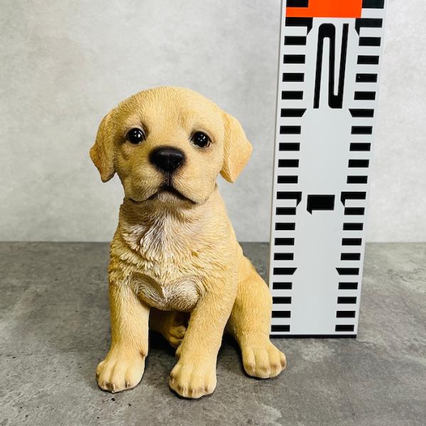 犬 置物 小さい かわいい 高さ16.5cm お座りラブラドールレトリバー