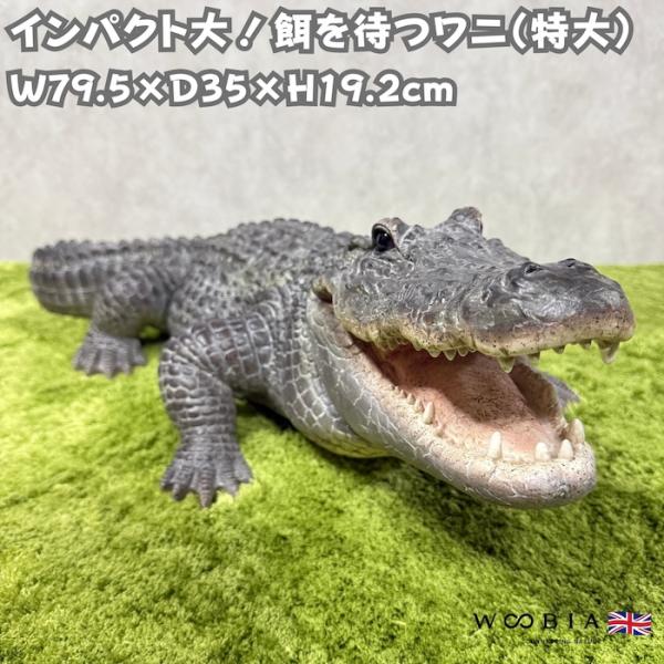 置物 餌を待つワニ 特大 横幅79.5cm 鰐 巨大オブジェ 大型 woobia ウービア 大きい かわいい おしゃれ ガーデン インテリア 可愛い プレゼント 北欧 玄関 雑貨 動物 モダン 面白い 庭 ギフト 屋外 家 リアル 玄関先 ガーデンオーナメント