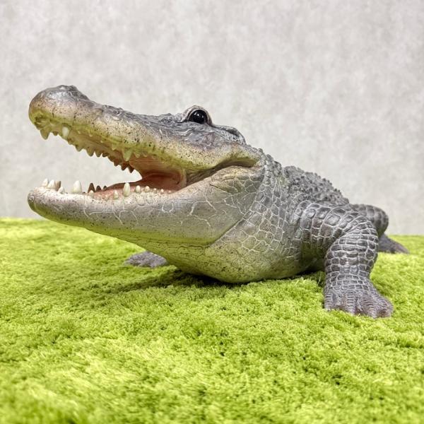 置物 餌を待つワニ 特大 横幅79.5cm 鰐 巨大オブジェ 大型 woobia ウービア 大きい かわいい おしゃれ ガーデン インテリア 可愛い プレゼント 北欧 玄関 雑貨 動物 モダン 面白い 庭 ギフト 屋外 家 リアル 玄関先 ガーデンオーナメント
