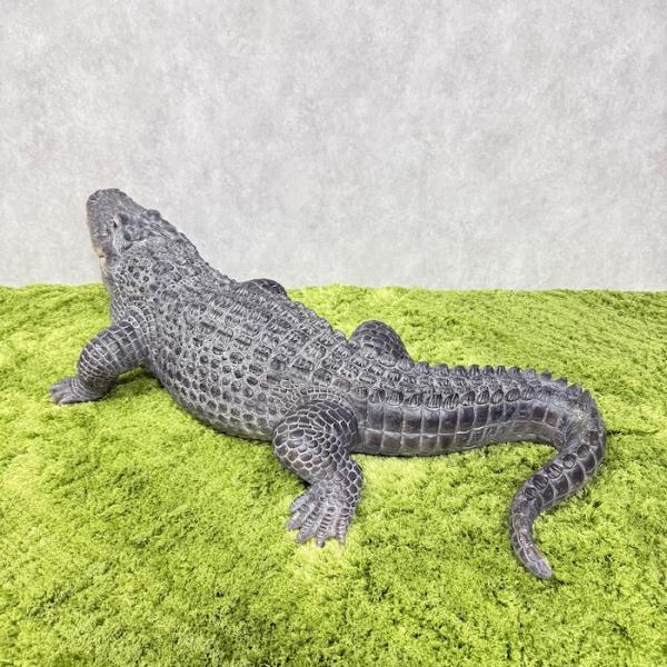 置物 餌を待つワニ 特大 横幅79.5cm 鰐 巨大オブジェ 大型 woobia ウービア 大きい かわいい おしゃれ ガーデン インテリア 可愛い プレゼント 北欧 玄関 雑貨 動物 モダン 面白い 庭 ギフト 屋外 家 リアル 玄関先 ガーデンオーナメント