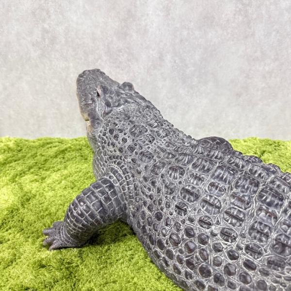 置物 餌を待つワニ 特大 横幅79.5cm 鰐 巨大オブジェ 大型 woobia ウービア 大きい かわいい おしゃれ ガーデン インテリア 可愛い プレゼント 北欧 玄関 雑貨 動物 モダン 面白い 庭 ギフト 屋外 家 リアル 玄関先 ガーデンオーナメント